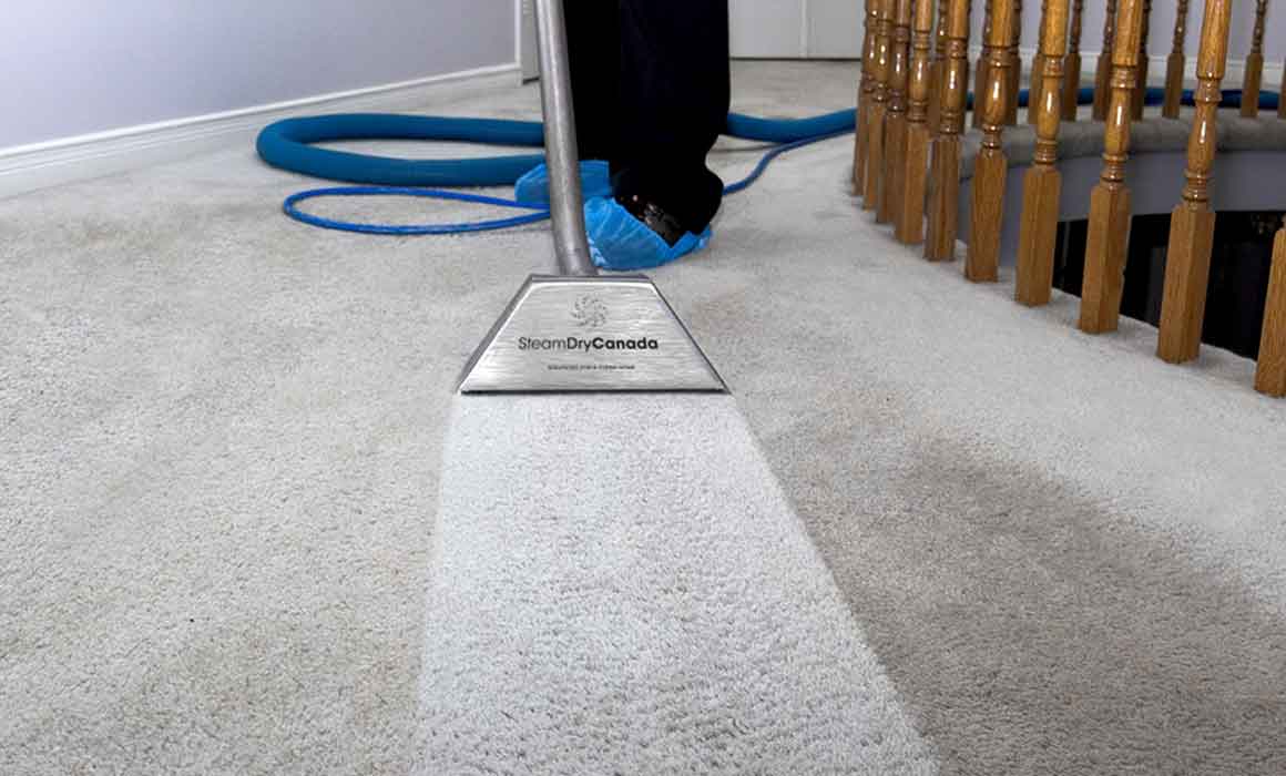 Cleaning carpets with steam cleaner фото 103